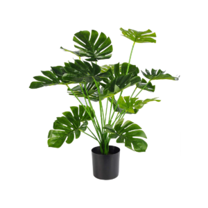 Artificial Plant (Styles May Vary)