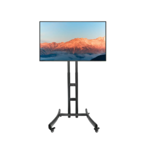 Sony 50" Television on Stand